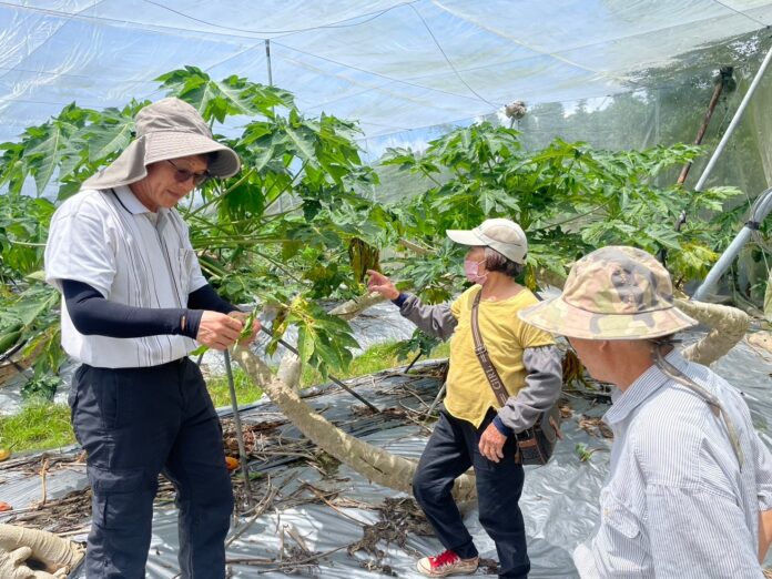 wm20250325183441252373