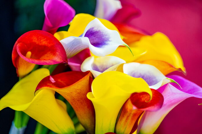 wm20250326202602438659