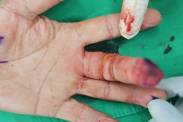 wm20250327202838151973