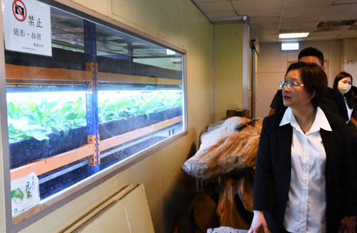 wm20250408201253660370