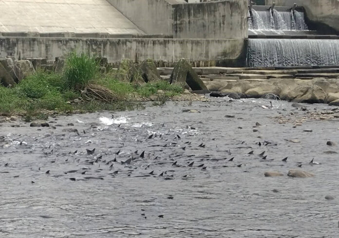 wm20250408202101699029