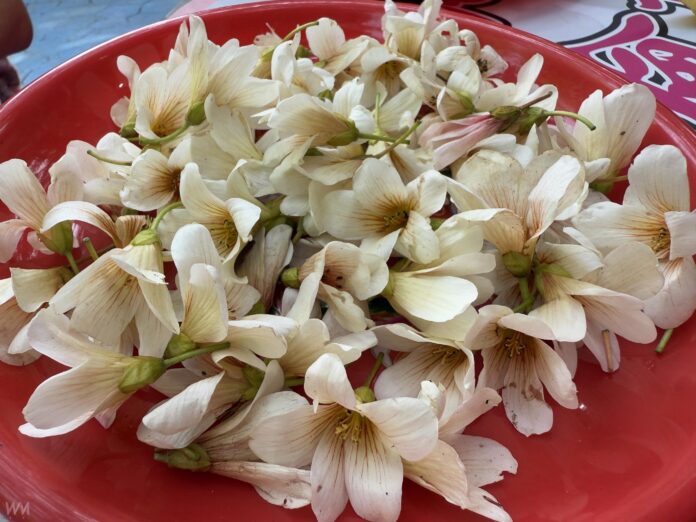 wm20250411204748205146