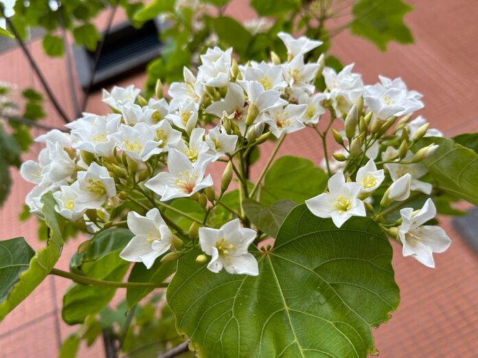 wm20250417113226493820