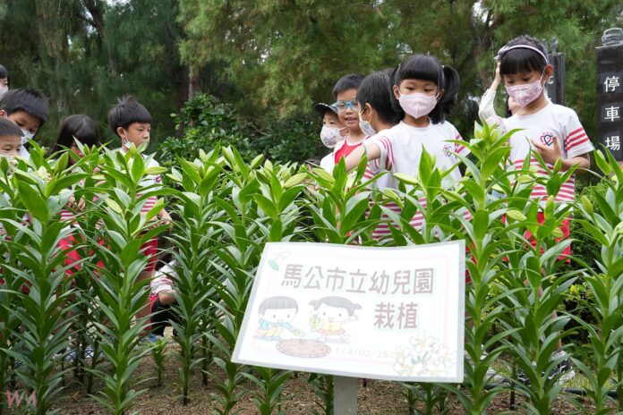 wm20250430230054855625