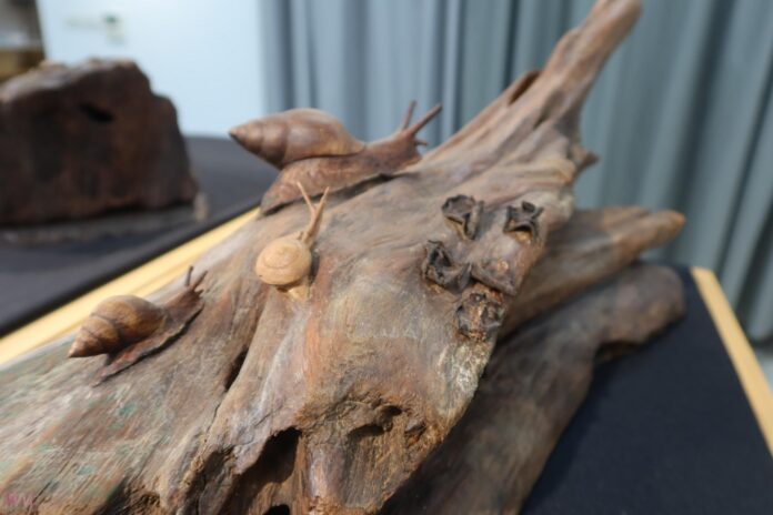 wm20250502202014243562