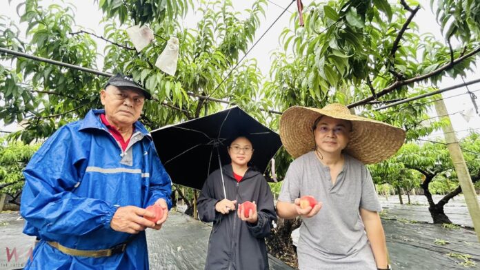 wm20250511194443851836