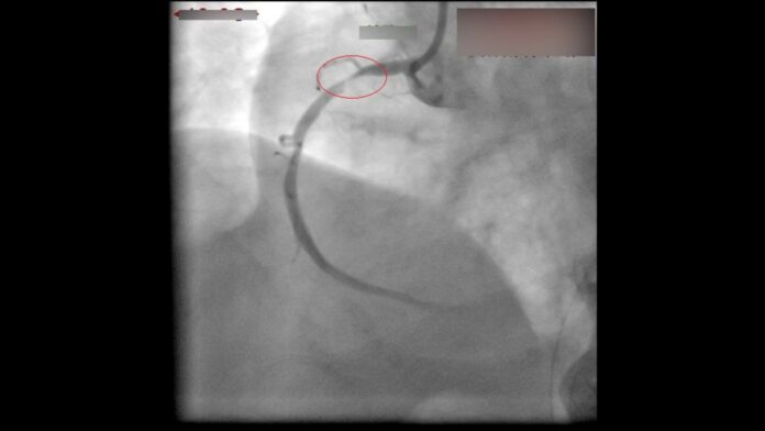 wm20250515205650424932