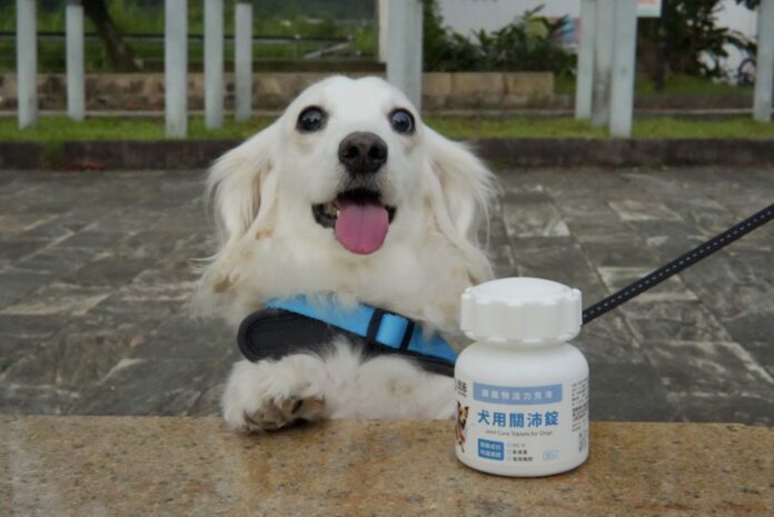 wm20250519115543125454 奧沛OurPet推出的犬貓用關沛錠,主打創新錠劑與天然成分。(品牌提供)