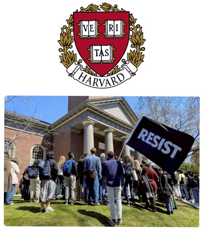 wm20250523170511873846