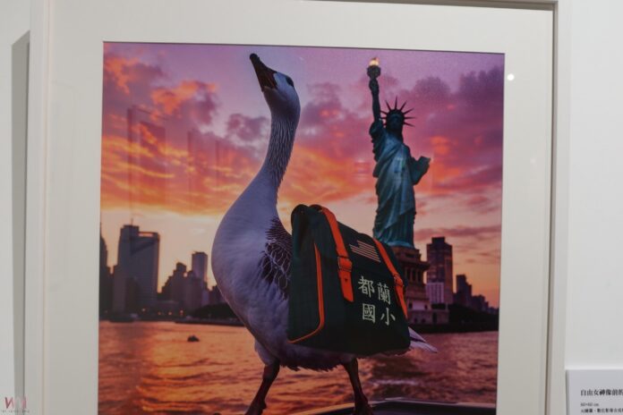 wm20250523203602341470