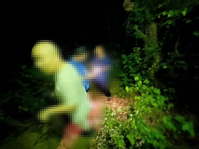 wm20250524074842229814