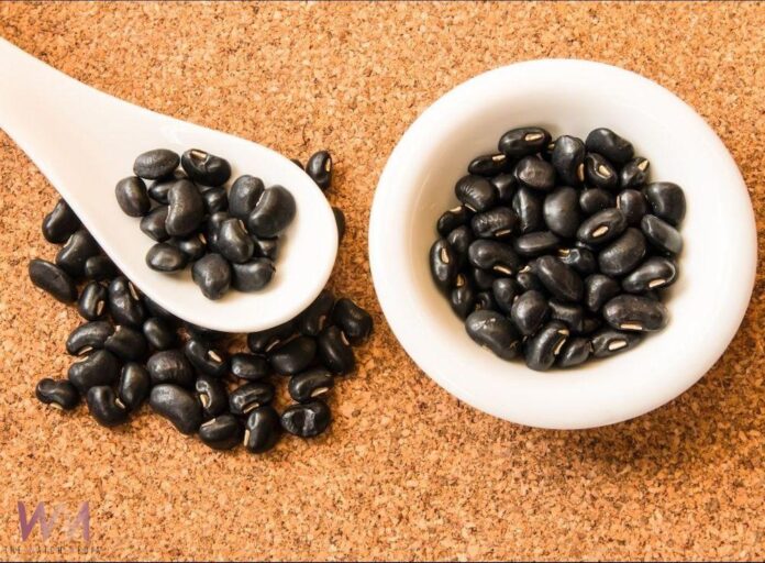 wm20250528132808951249