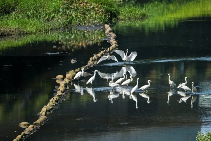 wm20250528175005060843