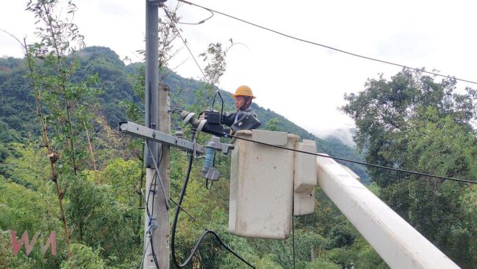 wm20250529153903477508