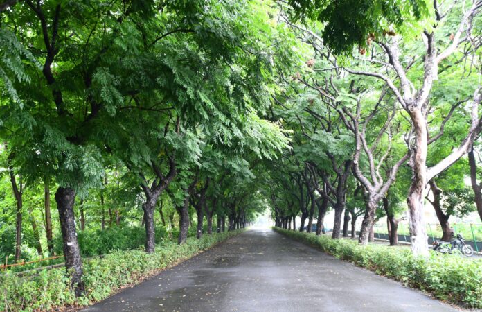 wm20250529210227381339