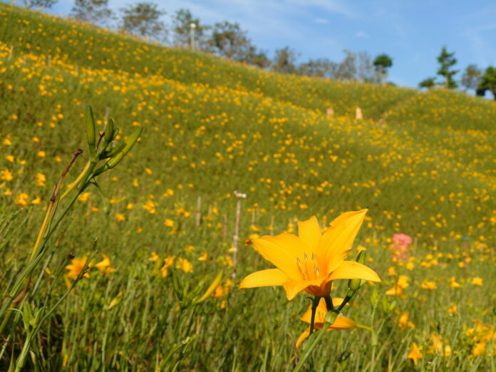 wm20250601173947601645