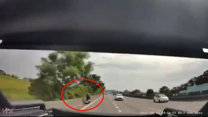 wm20250601174300579848