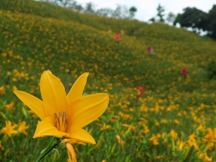 wm20250605200946322711