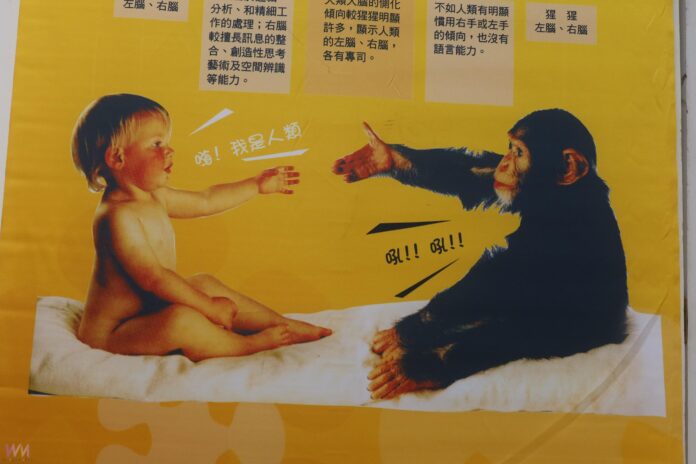 wm20250606200424068903