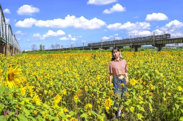 wm20250608164631495892