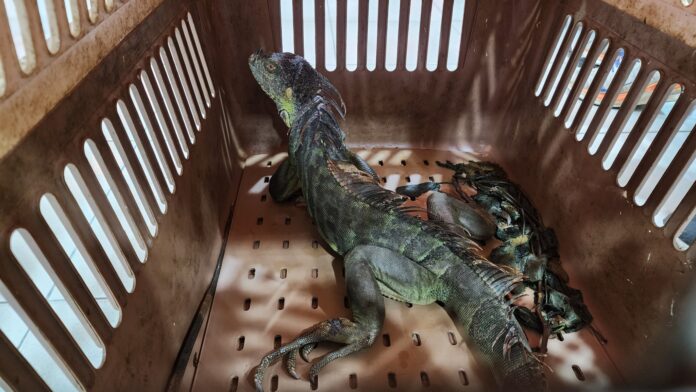 wm20250612172524764093