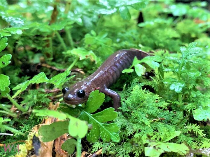 wm20250613192522890830