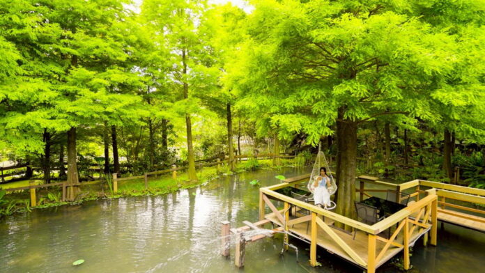 wm20250614203725934621