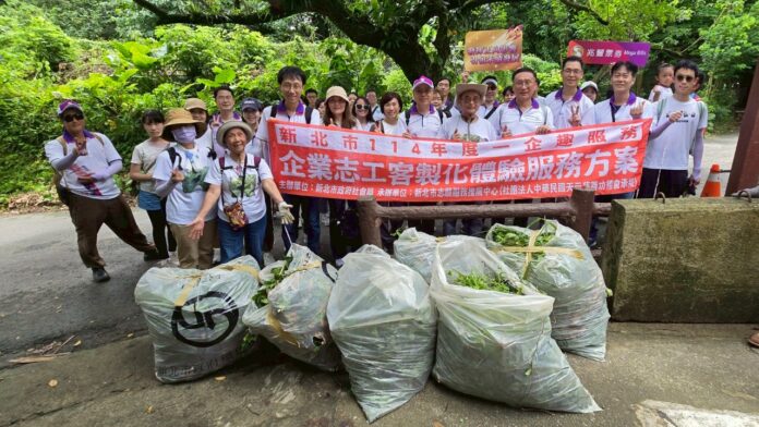 wm20250617113351745505