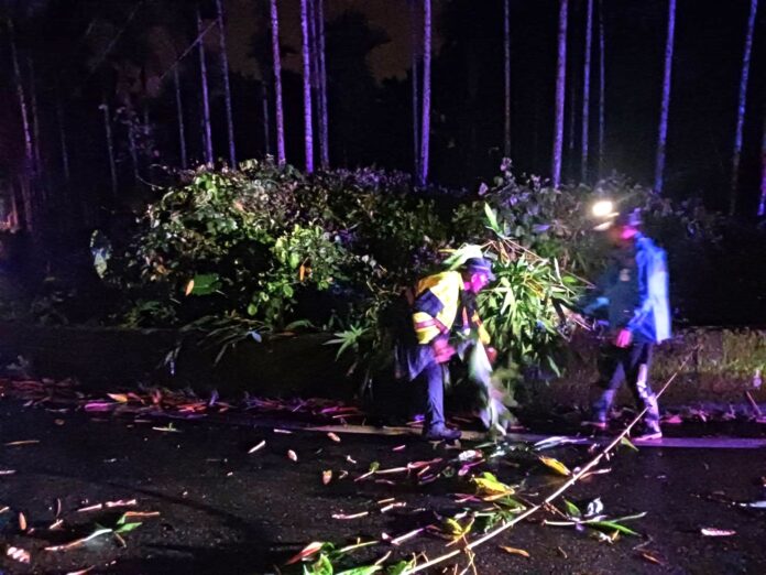 wm20250619164429559309