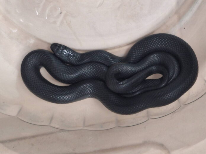 wm20250624200016654489