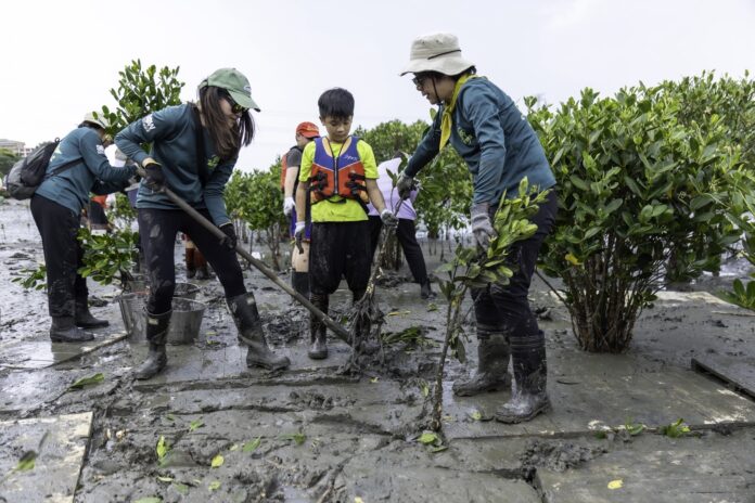 wm20250626185634672730