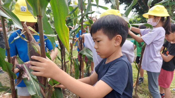 wm20250626195809487994