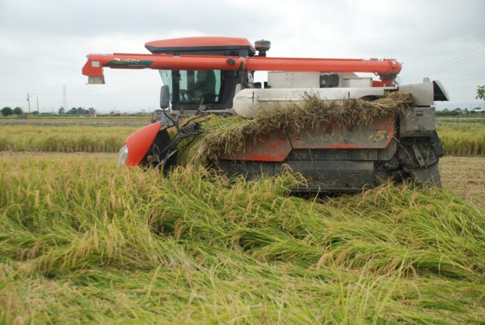 wm20250626203011566885