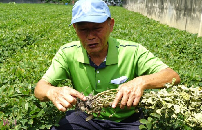 wm20250626214849815769