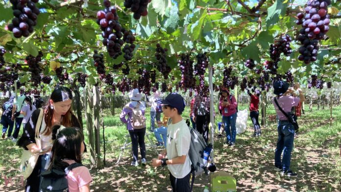 wm20250628190044350078