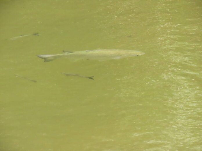 wm20250701143744659221