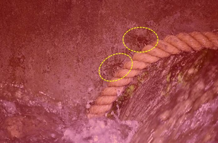 wm20250703165945965555