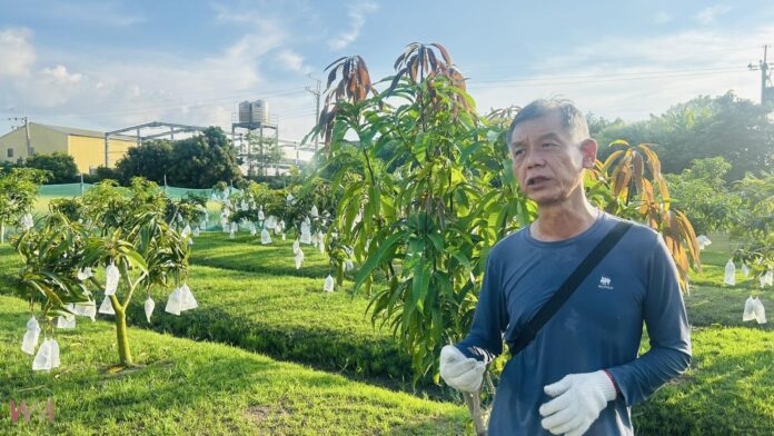 wm20250704202913660900