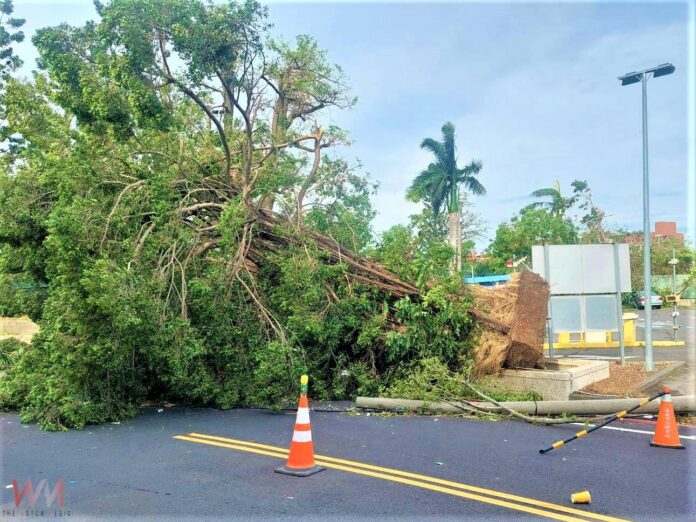 wm20250707203126745208