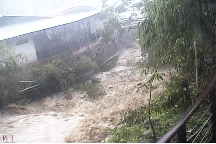 wm20250710181634801932