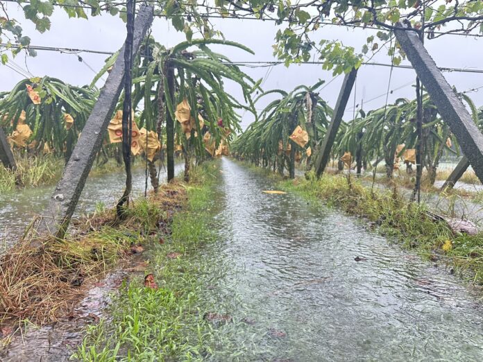 wm20250710191944605387