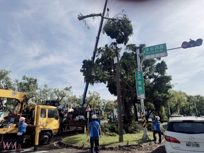 wm20250713183750196002