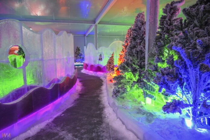 wm20250714154903919552