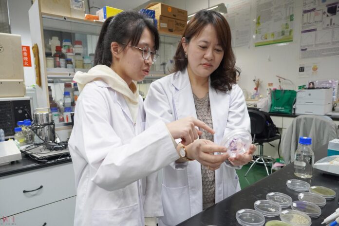 wm20250716193305135038-2