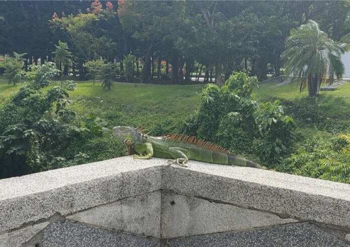 wm20250717152908813814