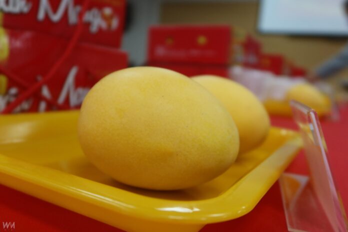 wm20250718200939180221