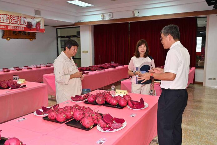 wm20250730173106401473