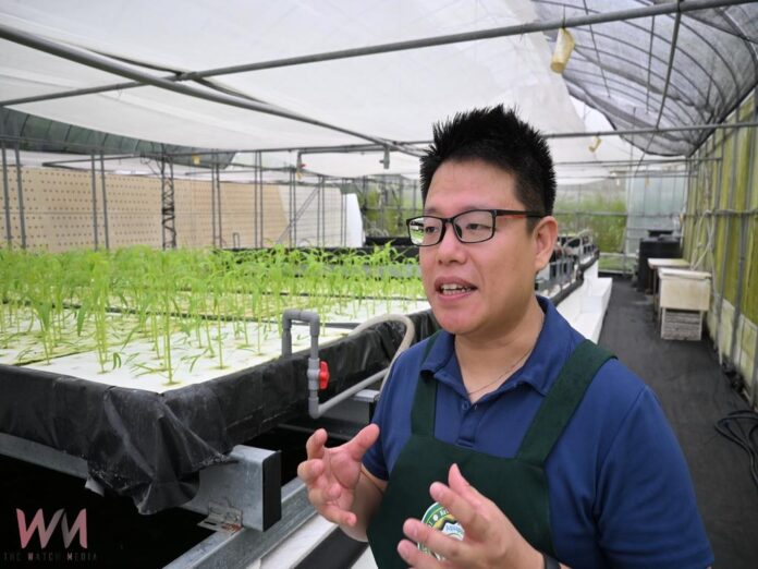 wm20250811185507999860