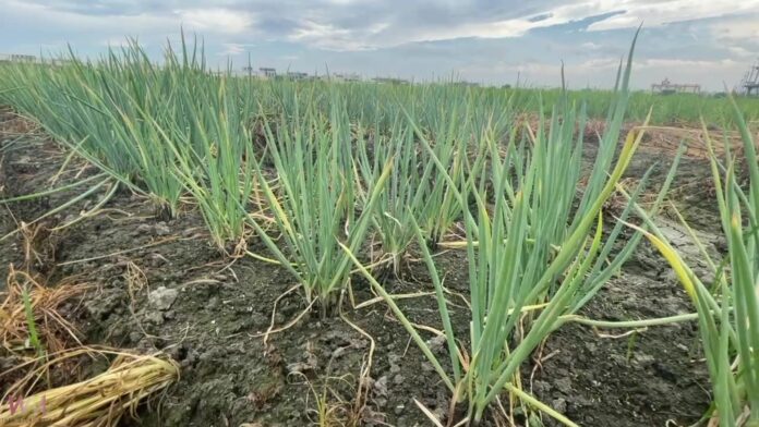 wm20250813202010084024