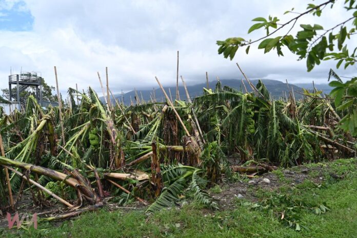 wm20250814171133480160